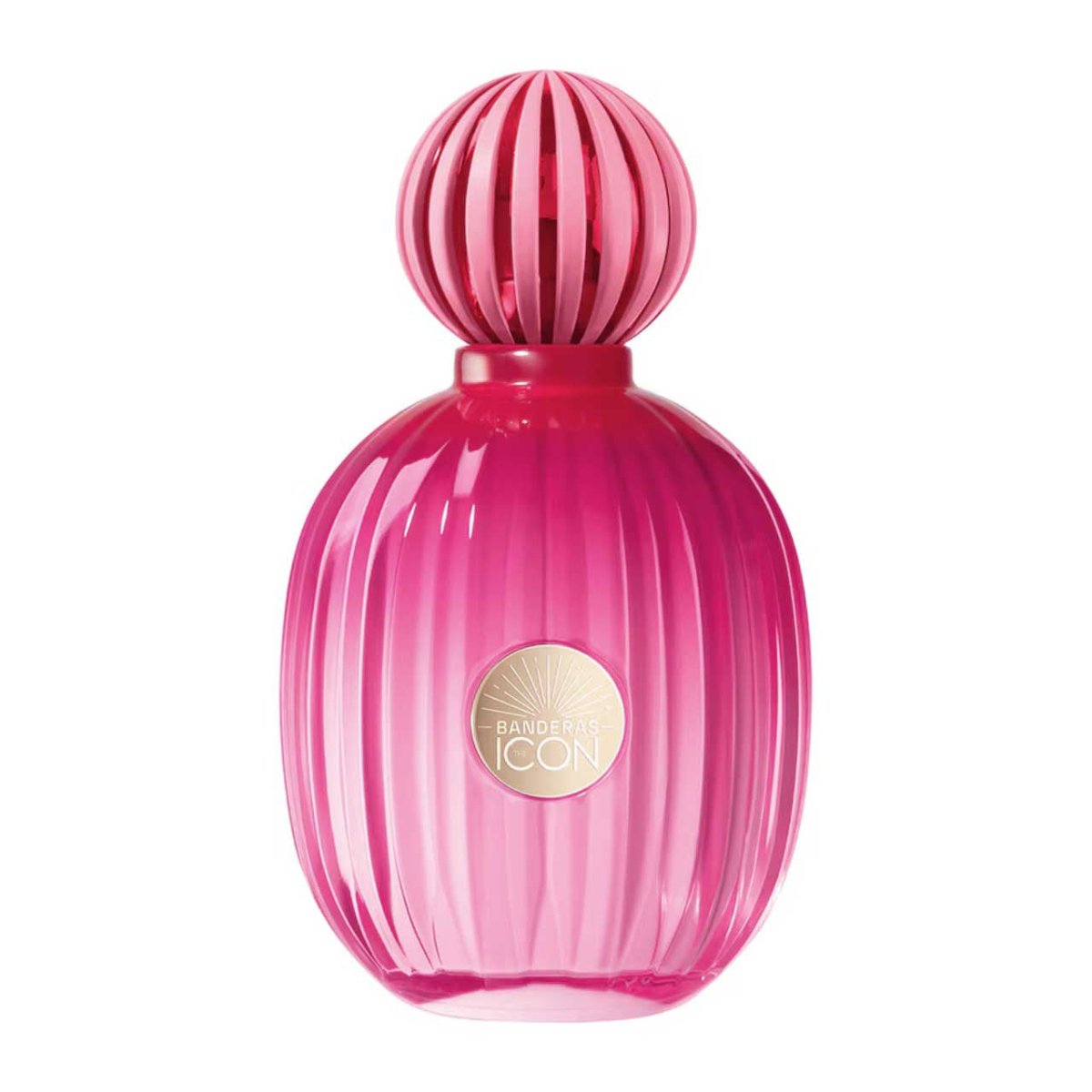 The Icon EDP 100ml Dama