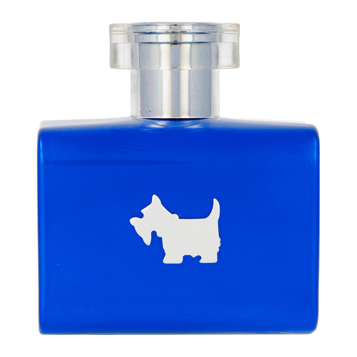 Ferrioni Terrier Blue EDT 100ml Hombre