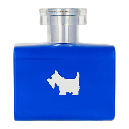 Ferrioni Terrier Blue EDT 100ml Hombre