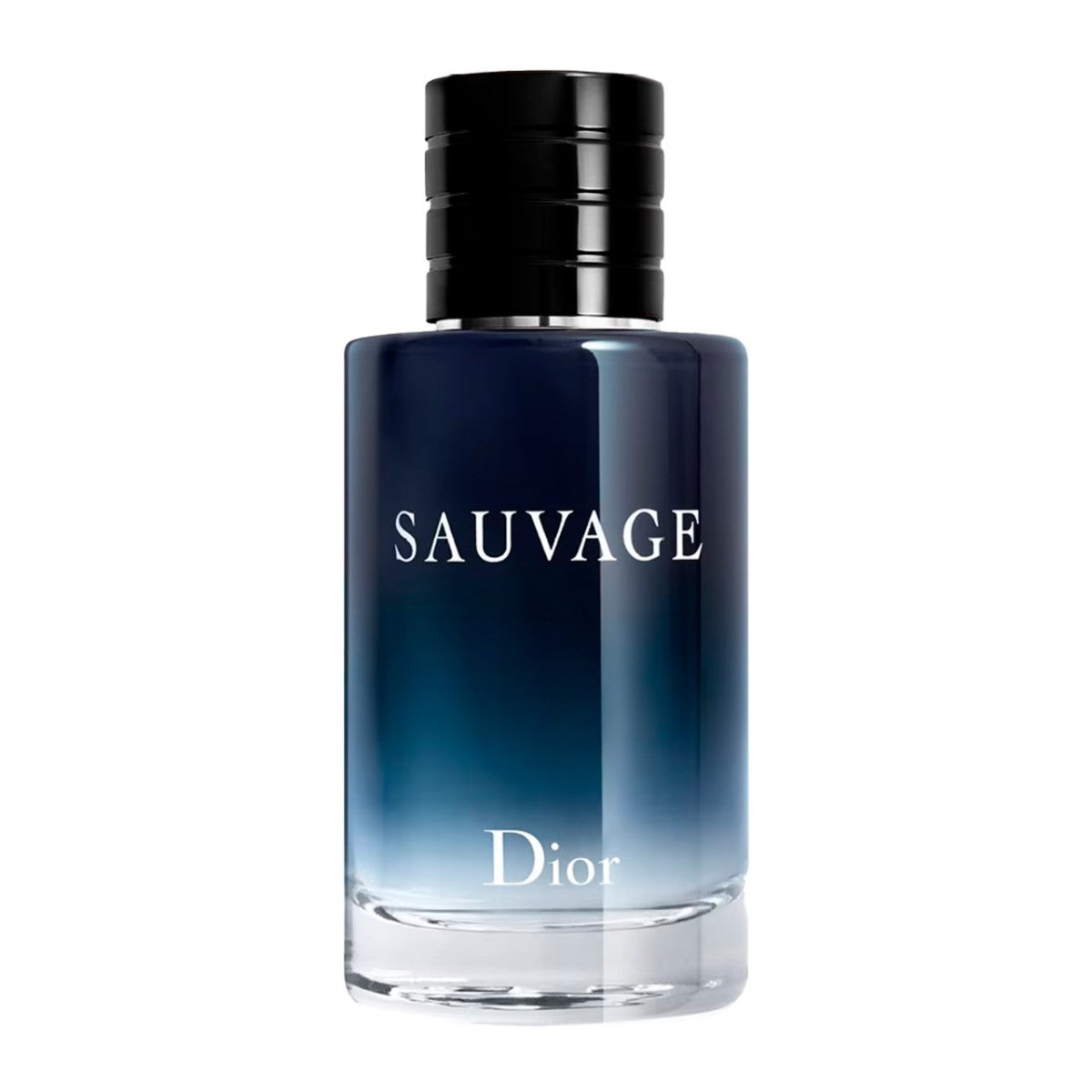 Sauvage 100 ml EDT Hombre (Rellenable)