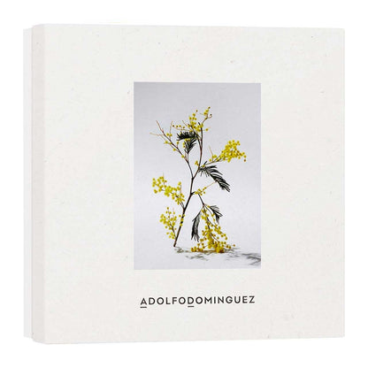 Mimosa by Adolfo Dominguez SET 2 Piezas Dama EDT 120ml + Body Lotion 75ml